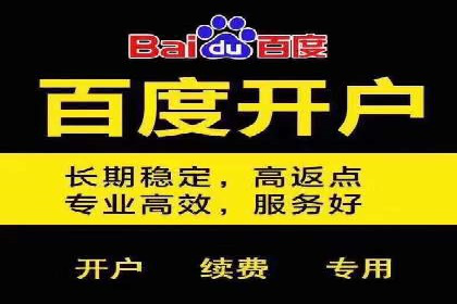 专业SEM服务公司案例分析报告
